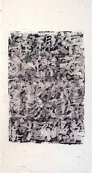 new "no.14168" &Atilde;&Acirc;&nbsp;ink gouache and xuan paper collage on xuan paper 57x30"