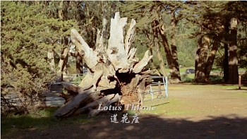 Screen Shot 2018 09 07 at 9.53.23 AM