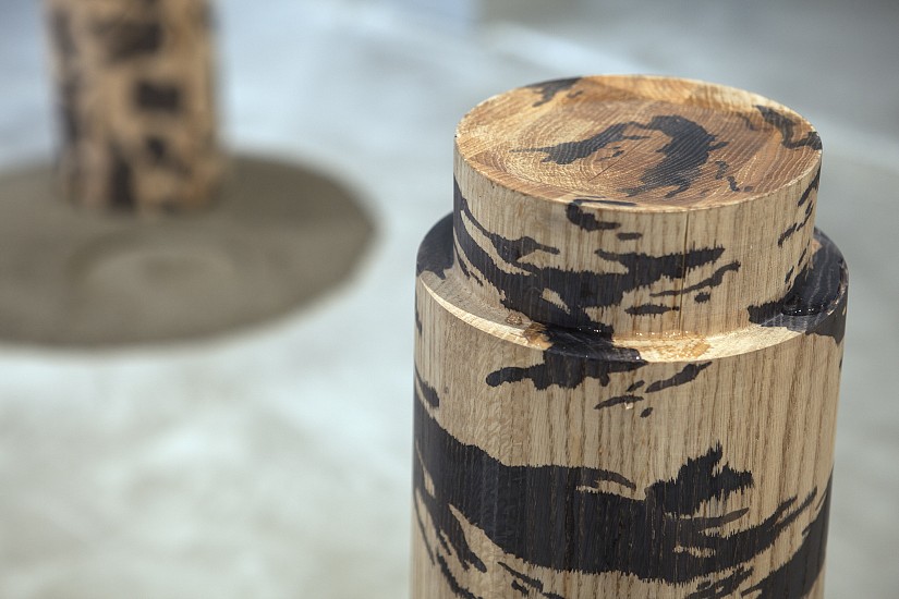 He Kunlin, Battery Townsley
2017, Red oak, water, sand