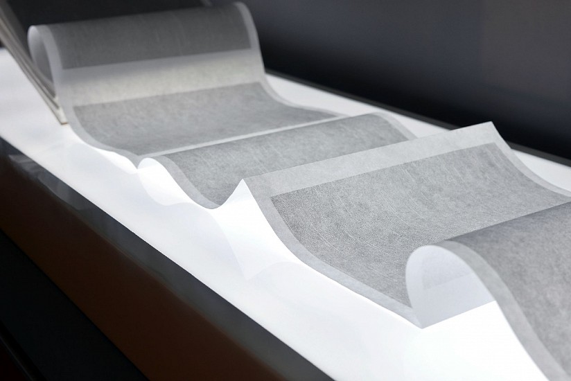 Liu Xin, A Book of Mine - Volume X
2018, Detail, Prints on accordion-bound rice paper